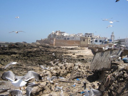 Essaouira - Vue sur la médina